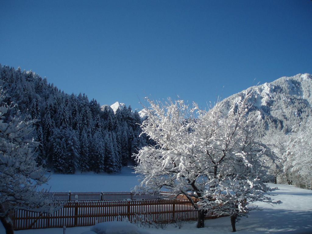 Gospodarstwo agroturystyczne Farm Kosir Kranjska Gora