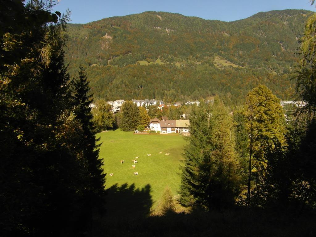 Gospodarstwo agroturystyczne Farm Kosir