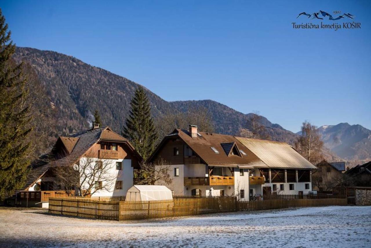 Bauernhof Farm Kosir Kranjska Gora